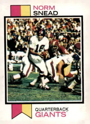 1973 Topps Norm Snead football trading card, a vintage sports trading card collectible