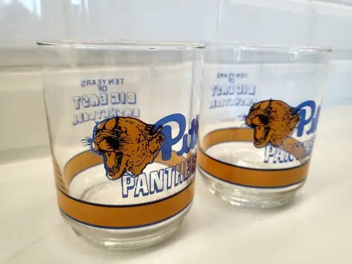Two Pitt Panthers glasses celebrating Big East basketball history