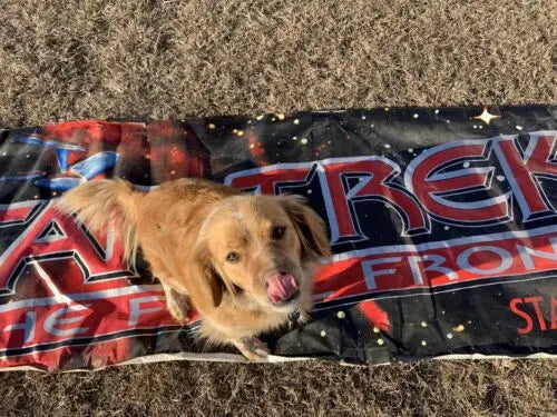 Cozy dog on a Star Trek blanket featuring Final Frontier movie vinyl poster