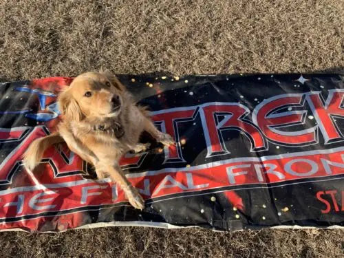 Golden Retriever featured on a Star Trek Final Frontier vinyl poster banner