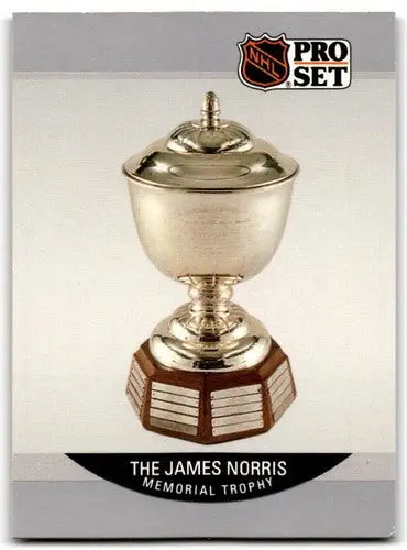 1990-91 Pro Set #384 Ray Bourque NM Near Mint ID:43226 - Trading Cards