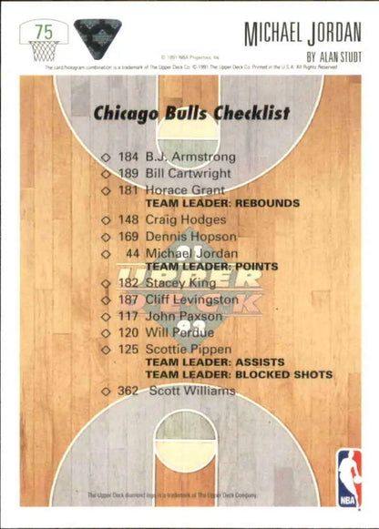 Chicago Bulls team checklist card featuring player statistics and Michael Jordan
