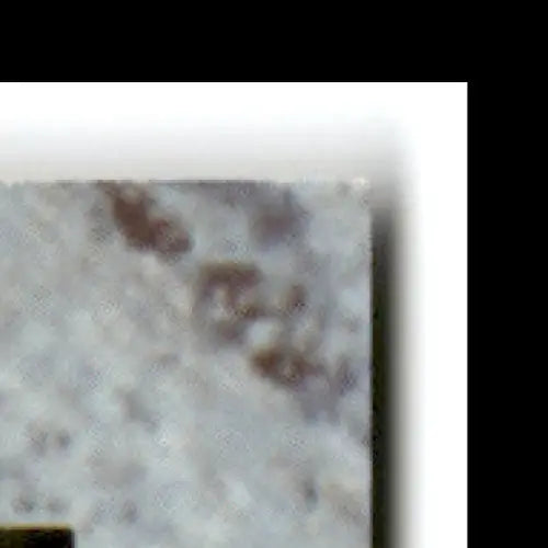 Textured gray and brown stone tile featuring 1991 Classic Multi-Sport Kevin Lynch Charlotte Hornets