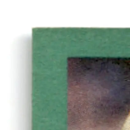 Corner of green-matted Fleer Football Jerry Rice San Francisco 49ers artwork