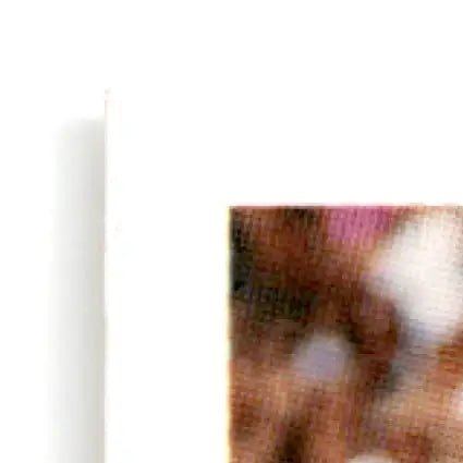 Printed corner of 1991 Upper Deck Football Jerry Rice Terry McDaniel card on white background