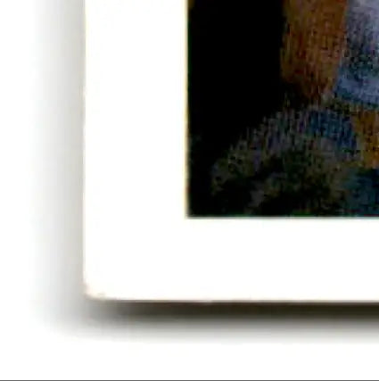 Bottom left corner of framed 1991 Upper Deck Football Jerry Rice Terry McDaniel photo