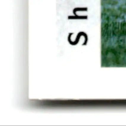 White paper with shadow for 1992 Upper Deck Football Shane Dronett card