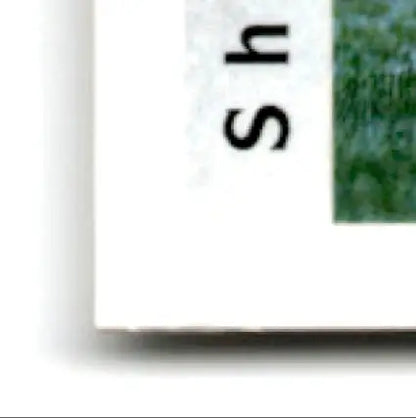 White paper with shadow for 1992 Upper Deck Football Shane Dronett card