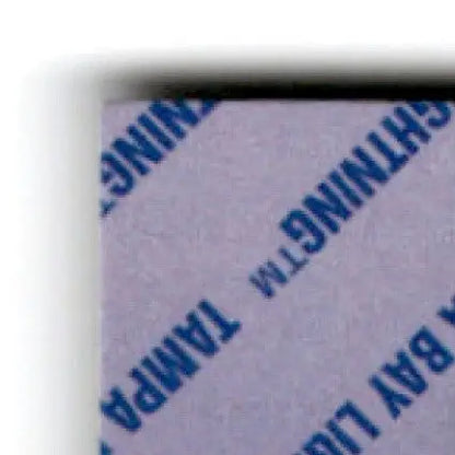 1993-94 Upper Deck Hockey Brian Bradley #305 Tampa Bay Lightning