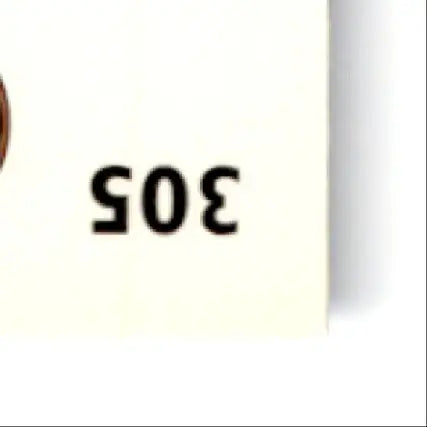 1993-94 Upper Deck Hockey Brian Bradley #305 Tampa Bay Lightning