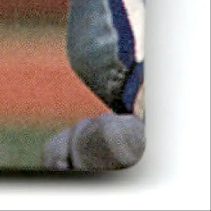 Action packed football Los Angeles Raiders textured orange object with striped pattern