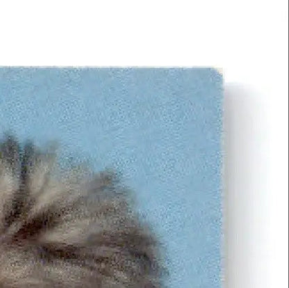 1993 Classic Hockey Draft Niklas Sundstrom #8 New York Rangers