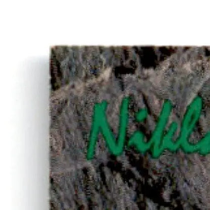 1993 Classic Hockey Draft Niklas Sundstrom #8 New York Rangers