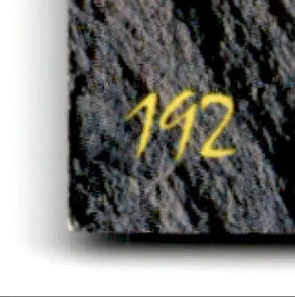 1993 Classic Hockey Draft Niklas Sundstrom #8 New York Rangers