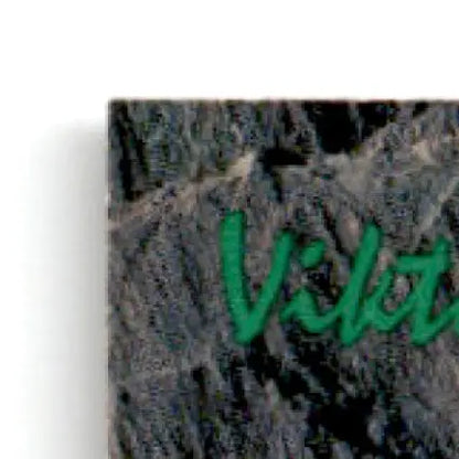 Green vista sign on stone wall from 1993 Classic Multi-Sport Viktor Kozlov San Jose Sharks