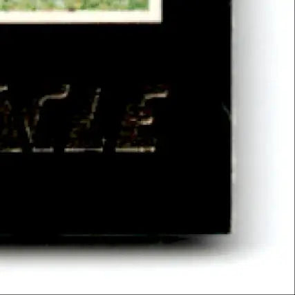 Black rectangular Pinnacle Football Steve Young with gold lettering for San Francisco 49ers