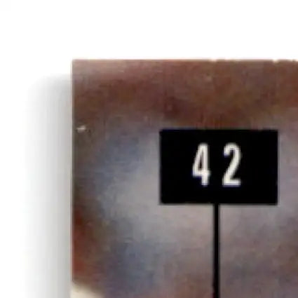 Numbered signpost featuring football Jim Harbaugh Chicago Bears collectible item