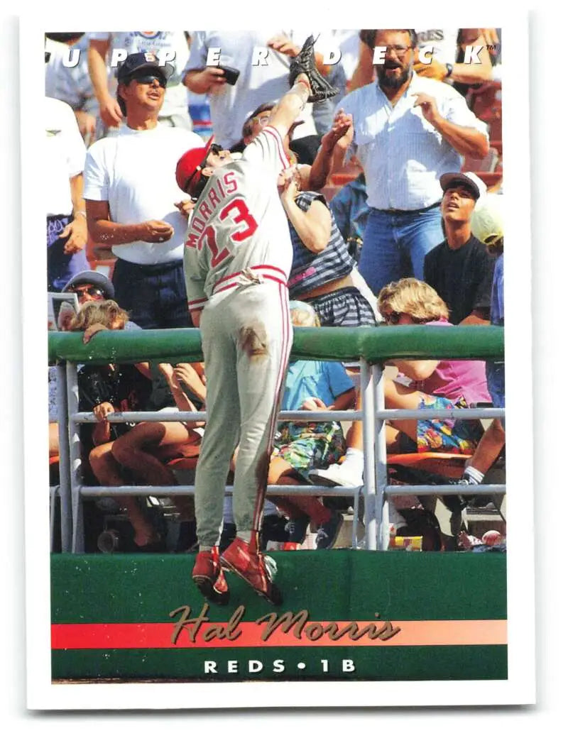Baseball player Hal Morris of the Cincinnati Reds leaps to catch a ball near the stands