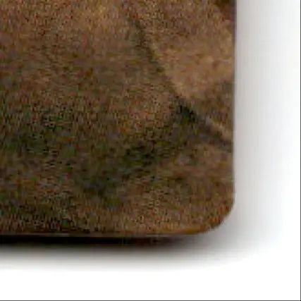Close-up of a brown textured wooden object from the Action Packed Football San Francisco 49ers product