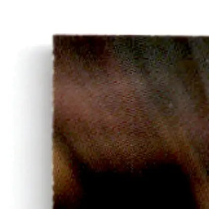 Dark brown coarse-textured material from Finish Line Racing Benny Parsons #120