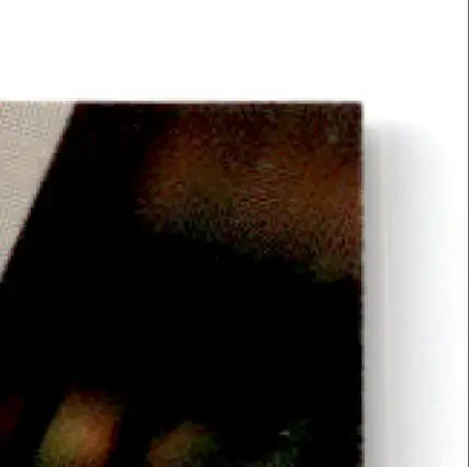 Finish Line Racing Ernie Irvan photo print with abstract dark earthy tones