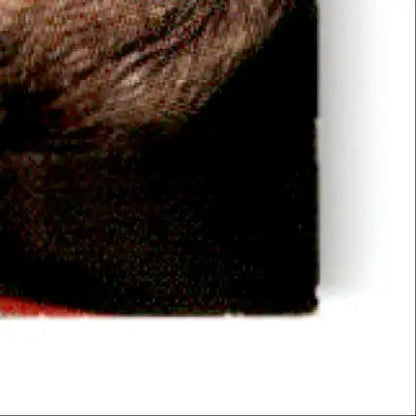 Dark brown fur and black fabric from 1994 Pro Set Power Racing Jimmy Spencer #118