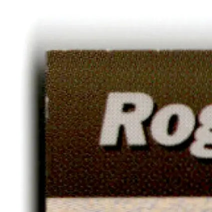 Brown textured card with RO in white letters from 1994 Pro Set Power Racing Roger Penske #107
