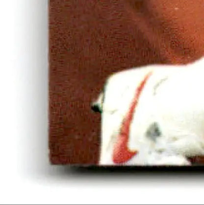 White and red Nike athletic shoe from Skybox Football Premium Steve Young collection