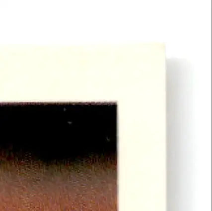 Matted photograph of Todd Frohwirth Gold #242 Topps Baseball Todd Baltimore Orioles