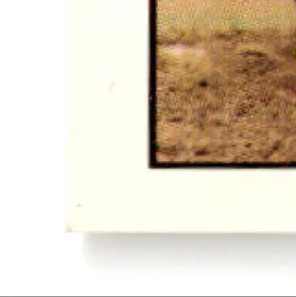 Corner of framed baseball Todd Frohwirth Gold card with white mat and brown-toned image