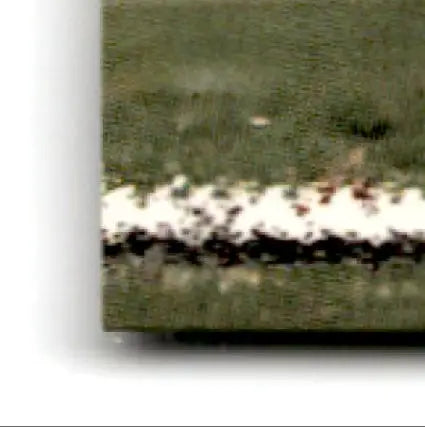 Green lawn with white line, classic assets football Steve Young San Francisco 49ers