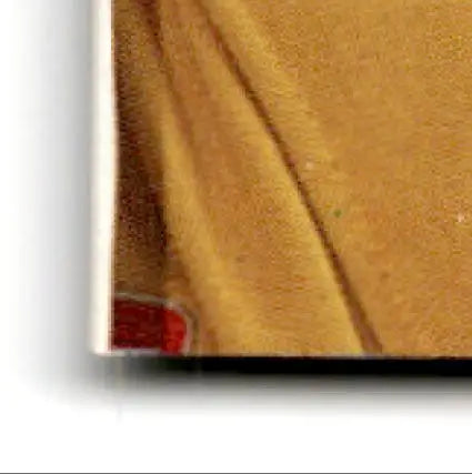 1995 Classic Racing Images Michael Waltrip #30 - Unknown