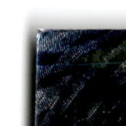 1995 Classic Racing Images Walker Evans #20 - Unknown