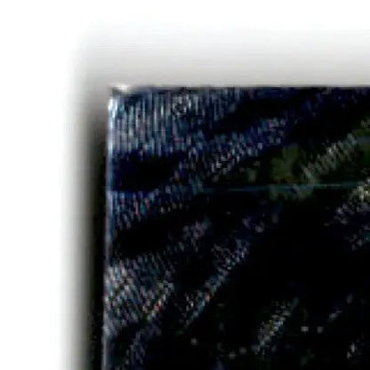 1995 Classic Racing Images Walker Evans #20 - Unknown