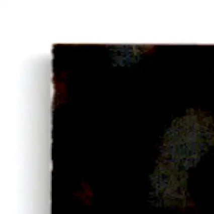 Dark textured rectangular panel from 1995 Pinnacle Football Steve Young San Francisco 49ers card