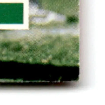 Skybox Football Impact card featuring Marcus Allen Kansas City Chiefs with green design