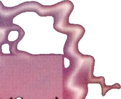 Abstract purple and pink blob shape for Topps Football Finest Steve Young card
