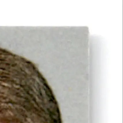 1996 Upper Deck Racing Road to the Cup Bobby Hamilton #RC134a - Trading Card