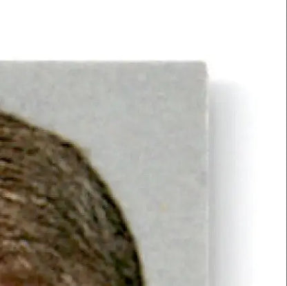 1996 Upper Deck Racing Road to the Cup Bobby Hamilton #RC134a - Trading Card