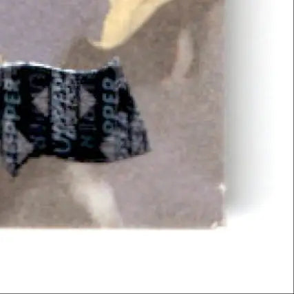 Black and white patterned sticker from 1996 Upper Deck Racing Road to the Cup Brett Bodine