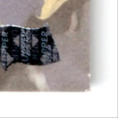 Black and white patterned sticker from 1996 Upper Deck Racing Road to the Cup Brett Bodine