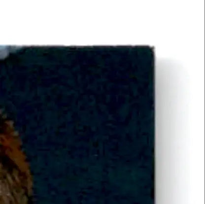 1996 Upper Deck Road to the Cup Racing Ricky Craven #RC133 - Trading Card