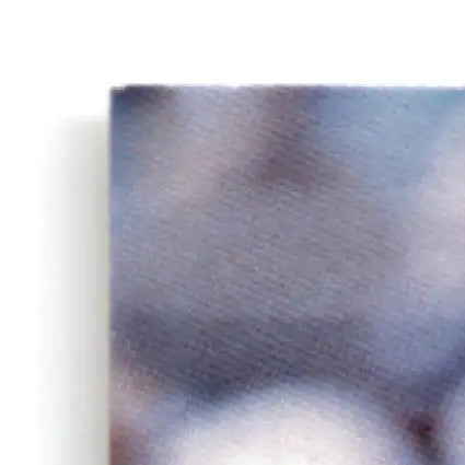 Close-up of brushed metal print featuring leaf football anthony and football anthony johnson