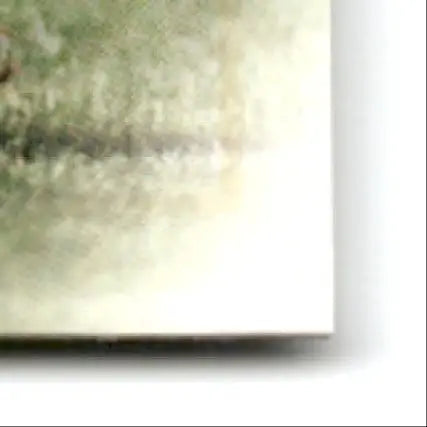 Close-up of framed impressionistic painting corner with leaf football Ben Coates #36