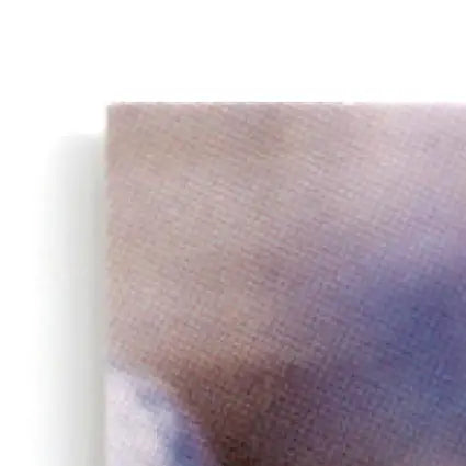 Corner of textured canvas print featuring purple and brown tones of Leaf Football Ben Coates #36