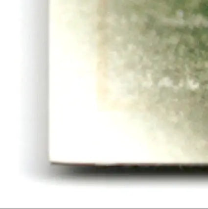 Leaf football Ben Coates #36 New England Patriots with green blurry pattern image