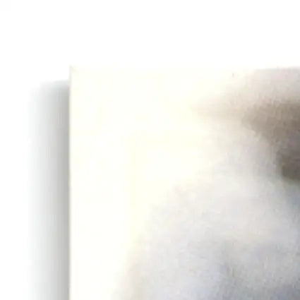 White rectangular Leaf Football Bobby card featuring Football Bobby Hoying for Philadelphia Eagles