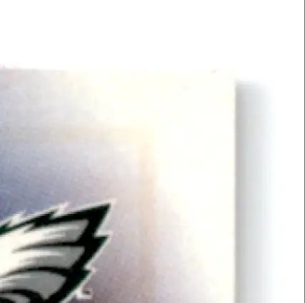 Leaf football Bobby featuring Philadelphia Eagles logo on light surface for football Bobby Taylor