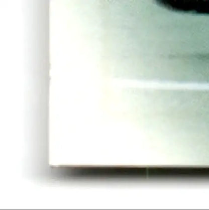 Close-up of white leaf football card featuring Charlie Garner Philadelphia Eagles