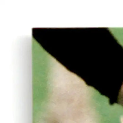 Corner of a canvas print featuring Leaf Football Charlie Garner Philadelphia Eagles